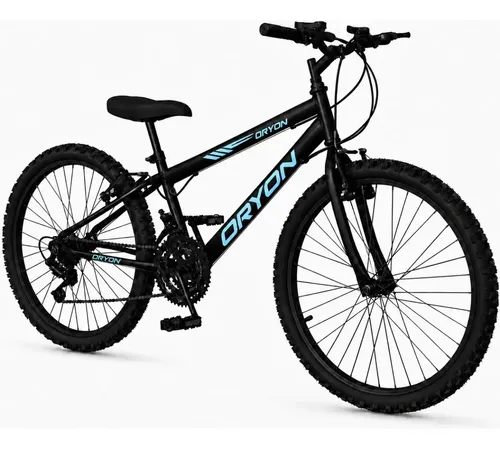 Bicicleta adulta